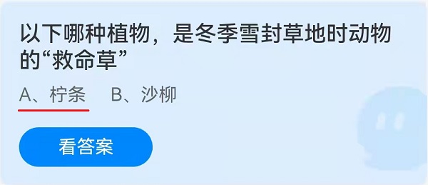 以下哪种植物，是冬季雪封草地时动物的“救命草”？